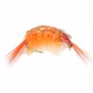 scud orange